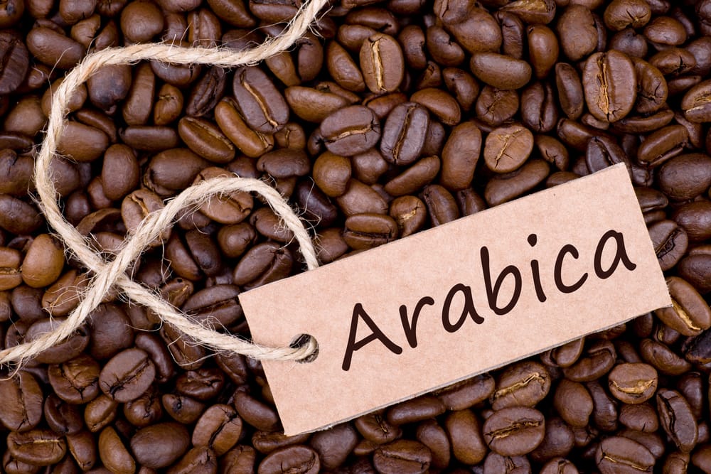 Unveiling the Elegance of Arabica Coffee