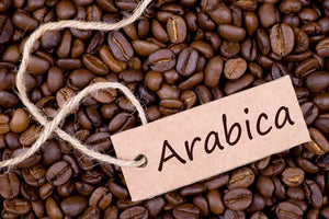 Unveiling the Elegance of Arabica Coffee